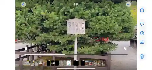 賀茂御祖神社（下鴨神社）(京都府)