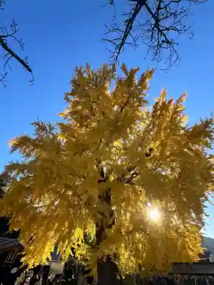 丹生酒殿神社(和歌山県)