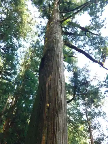 玉置神社(奈良県)