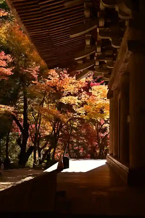金剛輪寺(滋賀県)