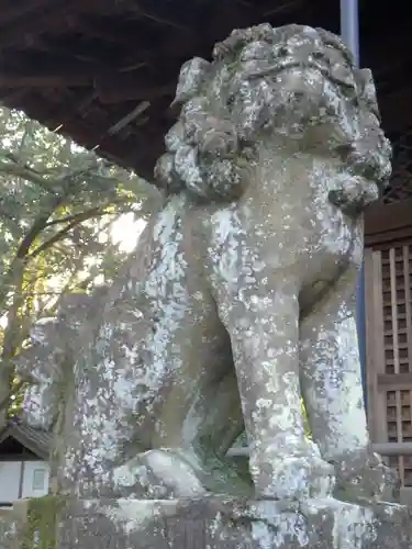 向日神社の狛犬