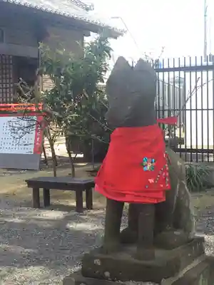 於菊稲荷神社の狛犬