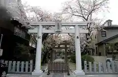 天道神社の鳥居