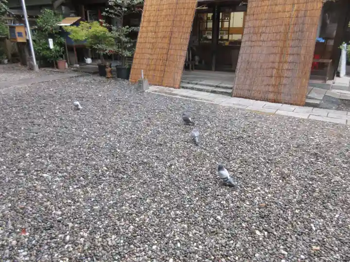 高知八幡宮(高知県)