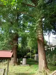 松尾神社(神奈川県)