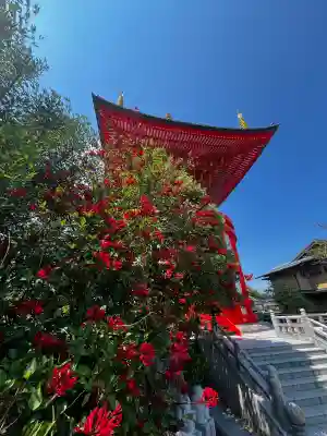 八浄寺(兵庫県)