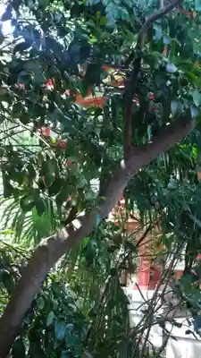 芝東照宮(東京都)