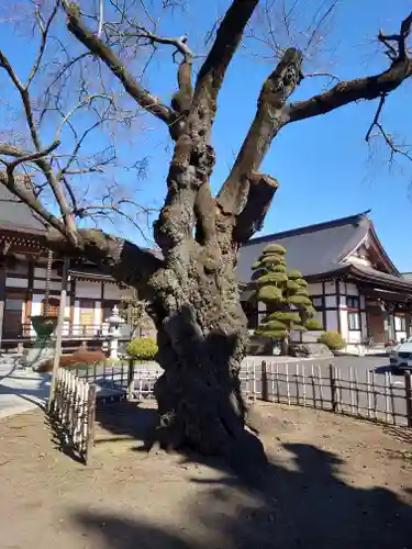 天応院(神奈川県)