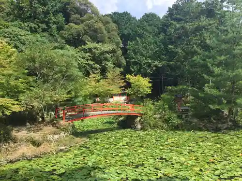 大原野神社の庭園