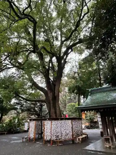 平塚八幡宮(神奈川県)