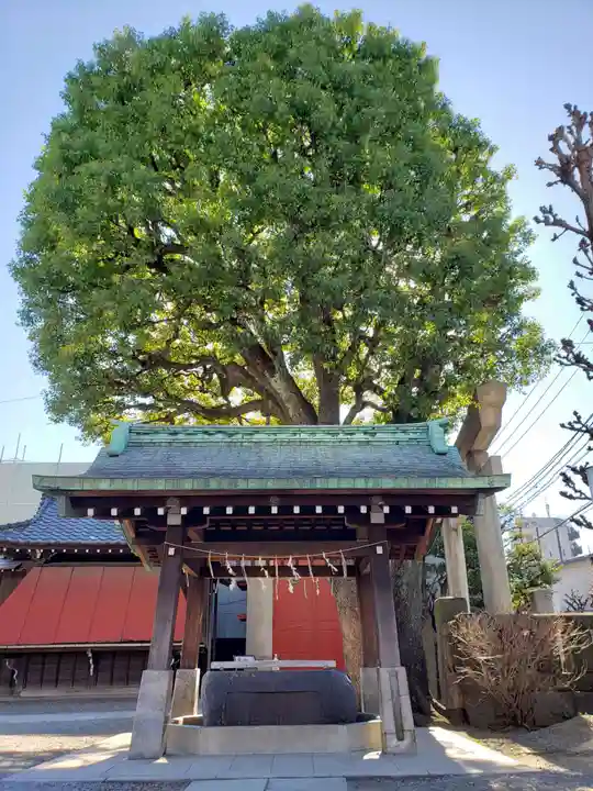 麻布氷川神社の手水舎