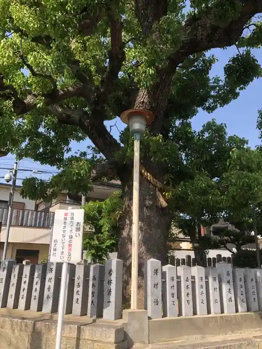 伯太神社の自然