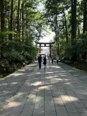 彌彦神社(新潟県)