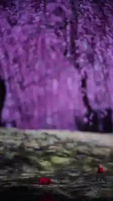 城南宮(京都府)