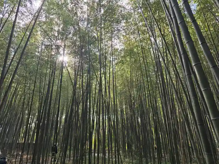 野宮神社(京都府)