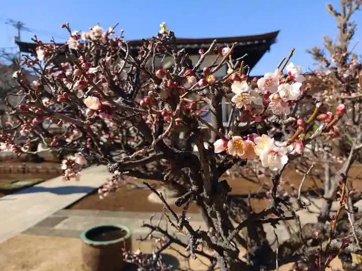 天暁山 一行院(東京都)