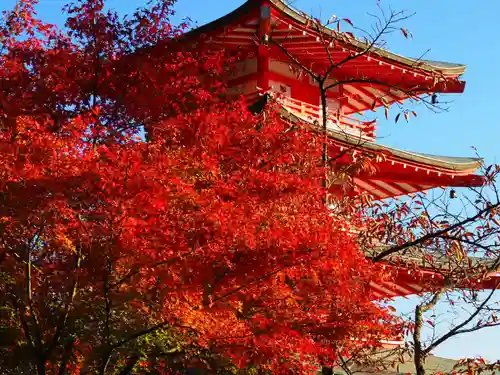 新倉富士浅間神社の塔