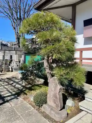 善仁寺(東京都)