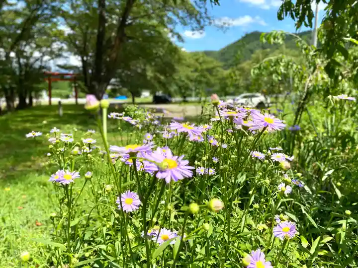 子檀嶺神社(長野県)