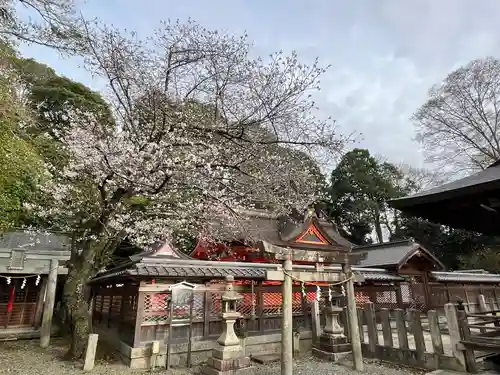 積川神社(大阪府)