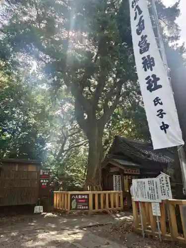 八百富神社(愛知県)
