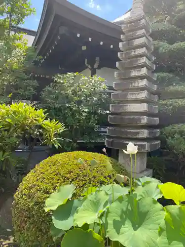 大昌寺(東京都)