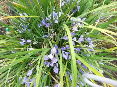 常昌院(神奈川県)