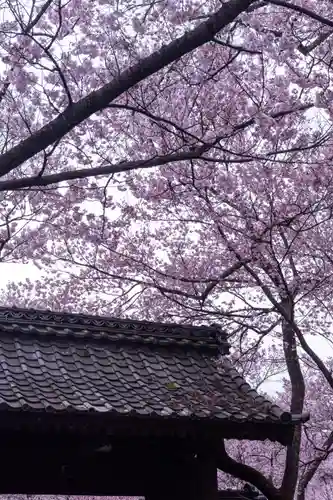 新城藤原神社(長野県)