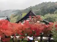 禅林寺(永観堂)(京都府)
