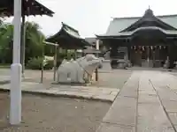 別雷皇太神の狛犬