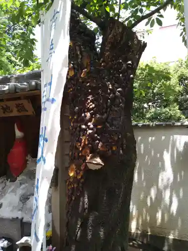 源覚寺(東京都)