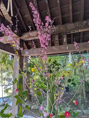 赤坂氷川神社(東京都)