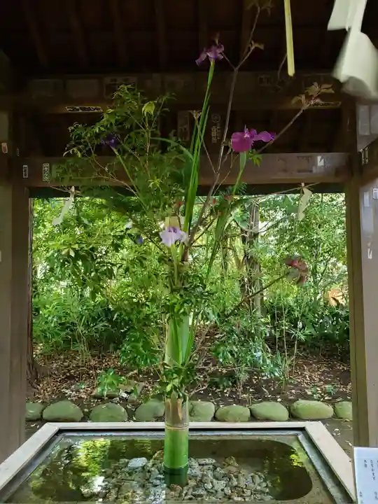 赤坂氷川神社(東京都)