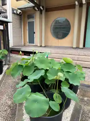 称念寺(大阪府)