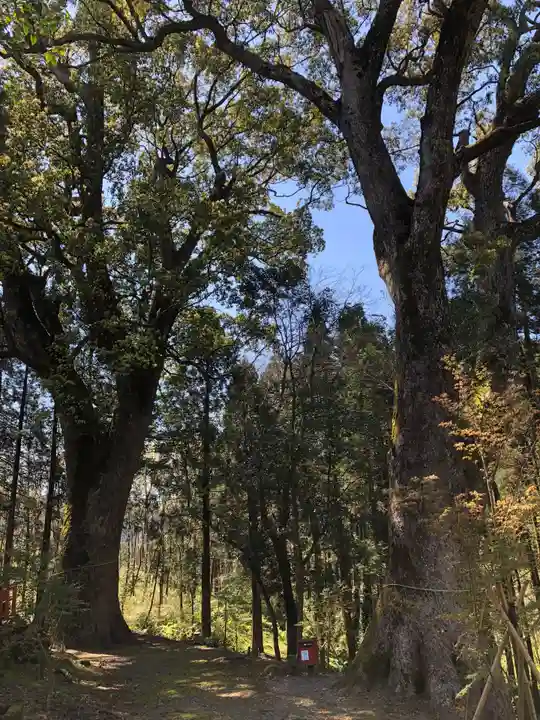 榎原神社の自然