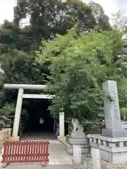 岩槻久伊豆神社(埼玉県)