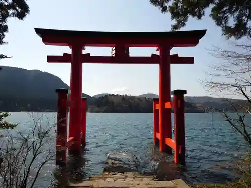 箱根神社の鳥居