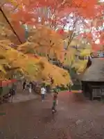 春日大社(奈良県)