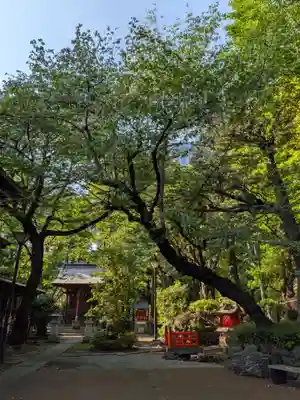 熊野神社(東京都)