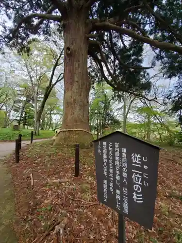 白河神社の自然