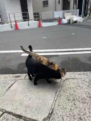 西九條神社の動物