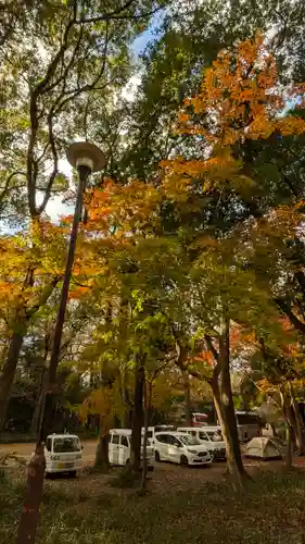 賀茂御祖神社（下鴨神社）(京都府)