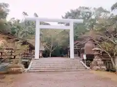 安房神社の鳥居