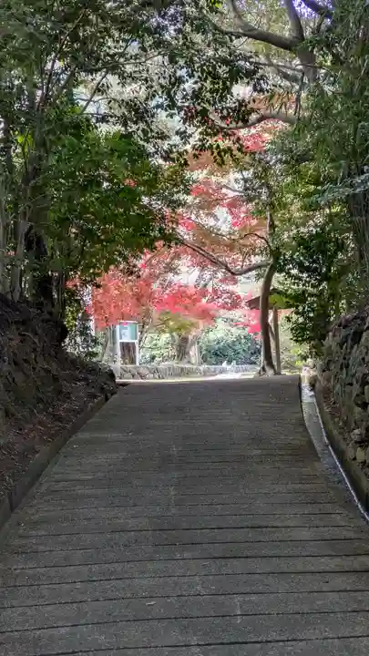 勝持寺(花の寺)(京都府)