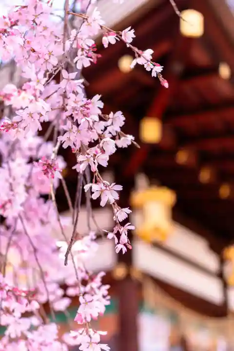 北野天満宮(京都府)