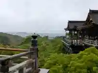 清水寺阿弥陀堂の{uncategorized: "未分類", other: "その他", undefined: "問題あり", building: "その他建物", grave: "お墓", sacred_gate: "鳥居", guardian: "狛犬", statue: "像", buddha: "仏像", history: "歴史", nature: "自然", garden: "庭園", animal: "動物", pagoda: "塔", temizu: "手水舎", mountain_gate: "山門・神門", sanctuary: "本殿・本堂", subordinate: "末社・摂社", art: "芸術", scenery: "景色", jizo: "地蔵", ema: "絵馬", goshuin: "御朱印", omikuji: "おみくじ", items: "授与品その他", amulet: "お守り", goshuincho: "御朱印帳", eats: "食事", festival: "お祭り", votive_dance: "神楽", shichigosan: "七五三参", wedding: "結婚式", experience: "体験その他", initially: "初詣", around: "周辺", anti_infection: "感染症対策"}