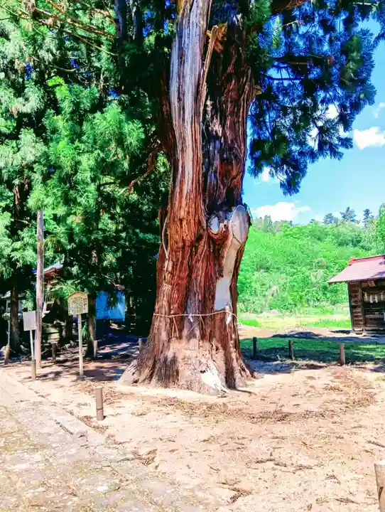 慶徳稲荷神社(福島県)