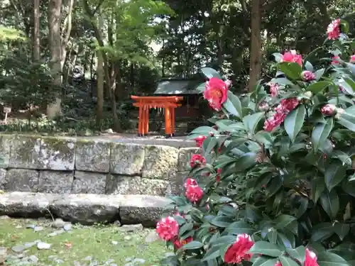 久能山東照宮の庭園