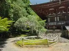 神護寺(京都府)