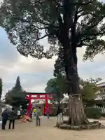 須左男神社(兵庫県)